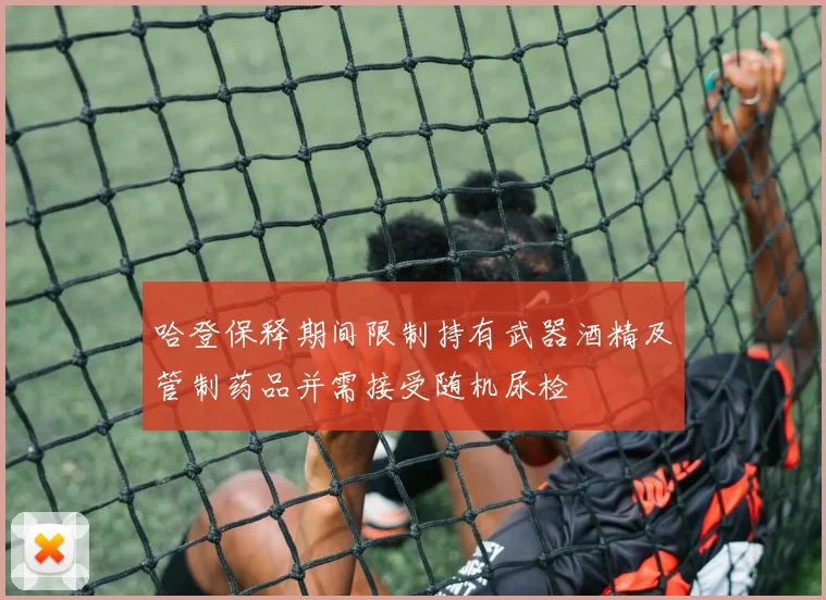 哈登保释期间限制持有武器酒精及管制药品并需接受随机尿检